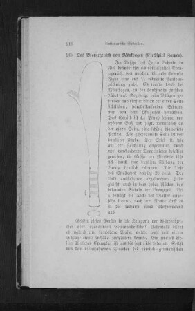 26) Das Bronzegeräth von Mönkhagen (Kirchspiel Zarpen).
