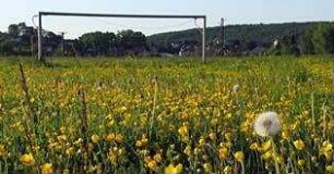 Das Leben ist kein Heimspiel