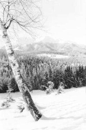 Winterlandschaft am DDR-Tourismusort Zakopane in der Hohen Tatra (Karpaten) in Polen