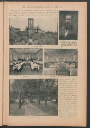 El Colegio Internacional de Olivos