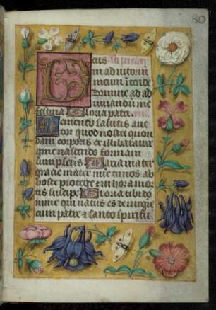 Initialzierseite (Terz): D(eus in adiutorium meum) ; Trompe l'oeil-Rahmen mit Blütenzweigen und Insekten