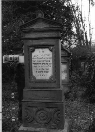 Grabstein 293 (Index: 100093315) Maße HxBxT: 233x69x37 cm Symbolik: Blüten, Verzierungen: Grabstein 293