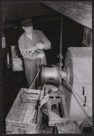 Mitarbeiter des Fischmarktes Hamburg-Altona