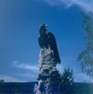 Berlebeck. Adlerwarte. Steinadler vor Abflug vom Felsen