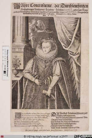 Bildnis Maria, Markgräfin von Brandenburg-Kulmbach, geb. Herzogin von Preußen
