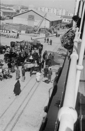 Im Hafen von Tripolis : Blick vom Schiff auf den Hafen von Tripolis