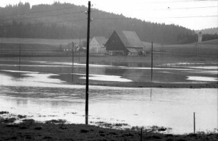 Grüningen: Hochwasser der Brigach bei Grüningen