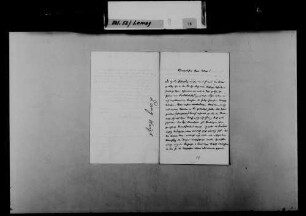 Schreiben von N.N. Lang, Würzburg, an August Lamey: Berufung von Lamey an die Universität Würzburg.