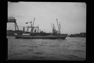 Sigrid Flint (1964), A. Flint, Hamburg