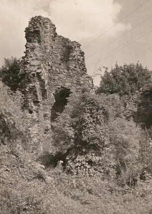 Oschatz. Wüstes Schloss Osterland, ehemalige Jagdpfalz. Nördlicher Treppenturm von Südwesten