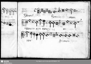 Wolfgang Figulus: Bonum est homini uxorem non tangere
