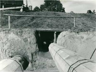 Rheindüker, 1955-1969