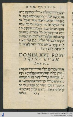 Domin. XVI. Post Trini. Evan. Lucae VII.