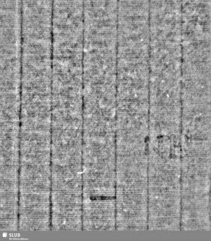 Reiter / NH = Bd.1 Vorsatzblatt (Rand)