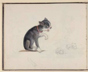 Katze mit rotem Halsband, daneben liegende Katzen [aus einem Skizzenbuch vornehmlich mit Tier- und Pflanzenstudien]