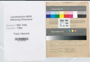 Entnazifizierung Heinrich Traut, geb. 10.06.1908 (Regierungsrat)