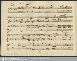 Quintetto III.