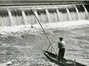 Wehr am Neckar. Ein Fischer holt sein Netz ein