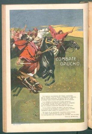 Combate-gaucho