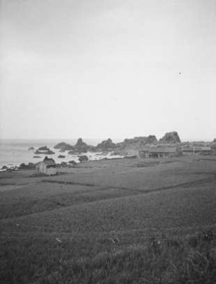Insel Sado (Sado-shima) : Strandabschnitt an der Westküste