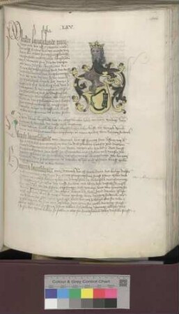 Ulrich Landschad von Steinach