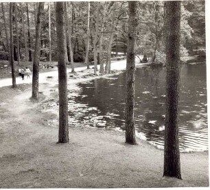 Luftkurort Hiddesen Naturschutzpark Donoperteich. Detmold. Hiddesen. Papierabzug