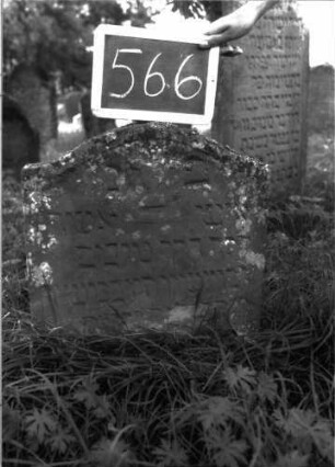 Grabstein 566 (Index: 100102496) Material: Sandstein Zustand: leicht verwittert, eingesunken, weitgehender Textverlust Maße HxBxT: 58x50x8 cm Beschreibung: Stele, Konvexbogenabschluss, Schriftfeld eingetieft: Grabstein 566