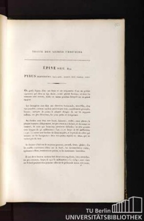 Traité des arbres fruitiers. Épine d'été. Duh. Pyrus olentissima, fructu medio, conoidali, viridi, moschato, aestivo.