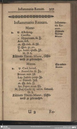 Inflammatio Renum