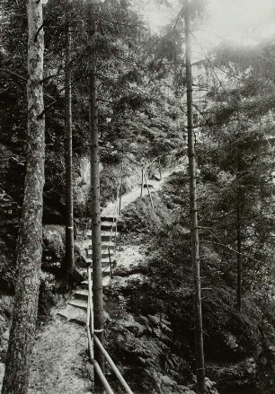 Sächsische Schweiz, Rauenstein, Gesicherte Steiganlage
