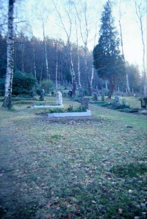 Friedhof mit Gräbern, im Hintergrund Wald