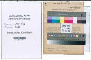 Entnazifizierung Anneliese Mesewinkel , geb. 06.12.1919 (Gewerbetreibender)