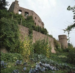 Beerfelden. Burg Freienstein (1297)