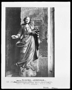 Immaculata