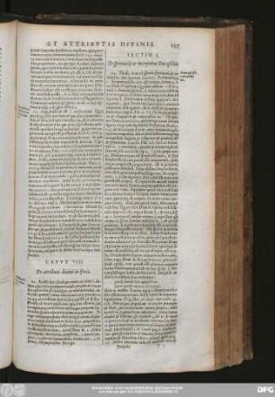 Caput VIII. De attributis divinis in specie.