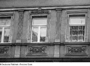 Dresden. Wohnhaus. Detail: Fenster