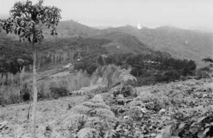 Landschaft : Blick auf die Landschaft von Kivungilo.