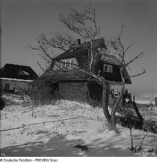Bei Dierhagen. Haus hinter den Dünen