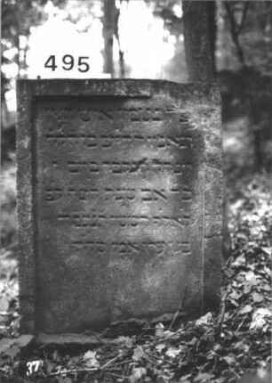 Grabstein 495 (Index: 100113652) Material: Sandstein Maße HxBxT: 15x64x12 cm Besonderheit: kulturhistorisch besonders wertvoll / hist.-wiss. Gründe (Alter): Grabstein 495