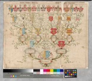 Proband: Plettenberg, Walter Heinrich von; Vater: Plettenberg, Hunold von; Mutter: Korff gen. Schmising, Anna von: Mark, Grafschaft, Ritterschaft