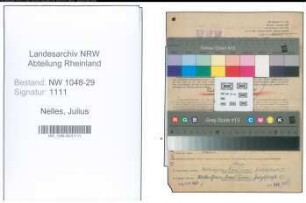 Entnazifizierung Julius Nelles , geb. 28.11.1899 (Beamter)