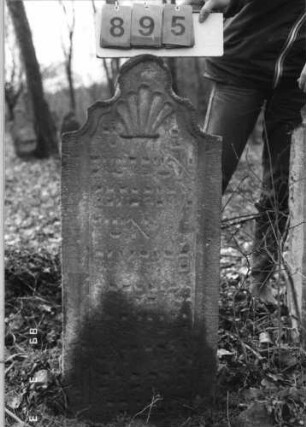 Grabstein 895 (Index: 99753252) Material: Sandstein Zustand: verwittert mit Textverlust Maße HxBxT: 105x43x11 cm Beschreibung: Stele, geschwungener Abschluß, Schriftfeld eingetieft Symbolik: Muschel: Grabstein 895