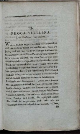 73. Phoca Vitvlina. Der Seehund, die Robbe.