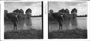 Im Rheinwald