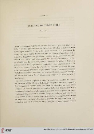 Antéfixe de terre cuite