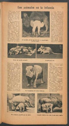 Los animales en la infancia