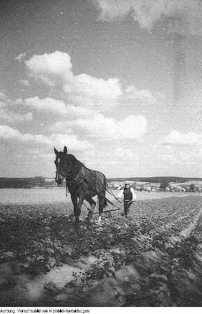Radibor, Luttowitz. Maschinenausleihstation (MAS) Luttowitz, März 1950