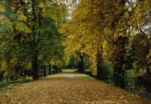 Park