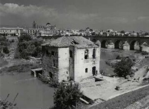 Arabische Mühle im Guadalquivir mit römischer Brücke im Hintergrund, Cordoba