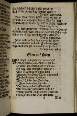 Eben auf selben